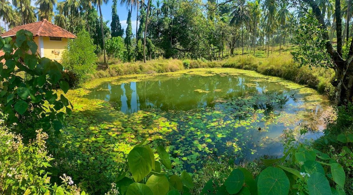 Beautiful Farm House & Villa - Monappa Estate - Top Rated Udupi Eksteriør billede